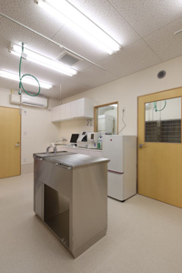 長野県の戸建て動物病院　検査処置室